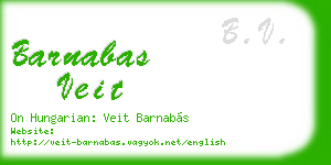barnabas veit business card