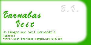 barnabas veit business card